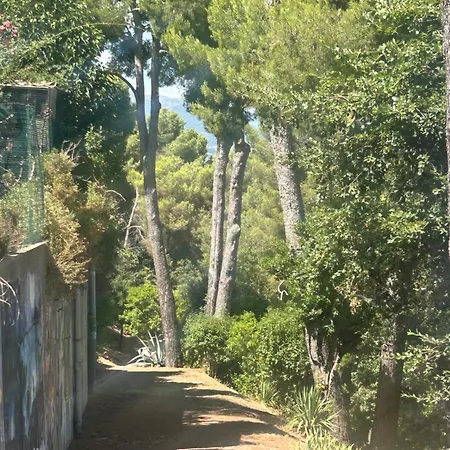 Calm#child Friendly#home#beach#airport Saint-Laurent-du-Var
